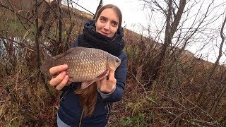 ДЕВУШКА ОБЛОВИЛА ВСЕХ ! Крупные КАРАСИ на поправок ! Рыбалка с Женой.