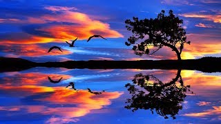 Sleep Music 24/7, Sleep Meditation, Sleep Therapy, Insomnia, Calm Music, Spa, Study, Relax, Sleep