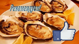 Жизнь в Испании. Пробуем испанские #устрицы