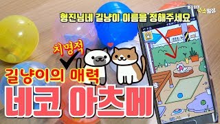 길냥이의 치명적인 매력 네코아츠메_형진님네 길냥이 이름은?  | 소소일상 SOSO1SANG
