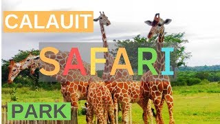 CALAUIT SAFARI | BUSUANGA CORON PALAWAN PHILIPPINES