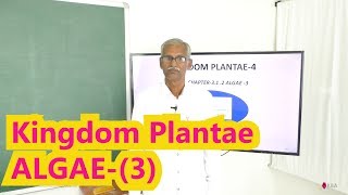 Kingdom Plantae (NCERT) Algae-(3)