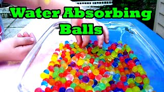 Magical (Scientific) Jiggly Balls Expanding in Water! - Orbeez!