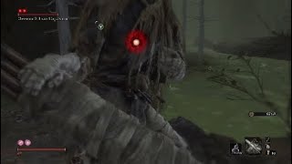 Sekiro быстрый фарм