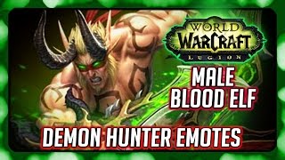 WOW Legion ► Demon Hunter Flirts, Jokes & Other Emotes (Male Blood Elf - Beta)
