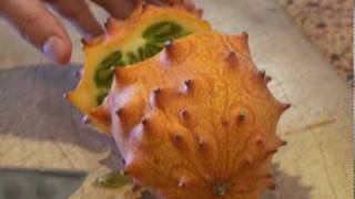#1231 Kiwano