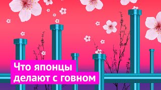 Япония: чистая борьба с мусором