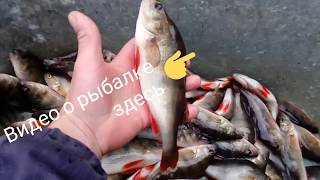 Отличный улов, зачетный Окунь! autumn fishing