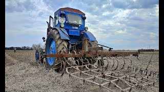 [Т-40АМ] Культивация 2019 /// самодельный культиватор