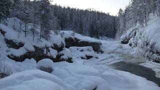 Winter wilderness in Oulanka, Finland
