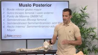 Fibrólisis Diacutánea - Piernas