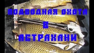 Подводная охота в Астрахани.