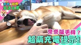 【柴犬Nana(奈奈)】奈奈版手機?!超萌充電提示!