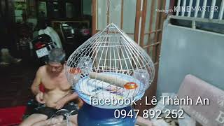 09 / 07 / 2019 : Lồng Nuôi Chim Cu Gáy Quả Đào