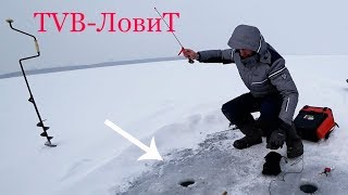 Зимняя рыбалка первая | Ловля рыбы на мормышки, блесна и балансиры с льда!