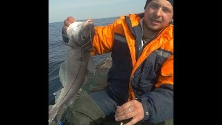 18+ Ловля трески, 1 мая 2016г Мурманская обл п.Териберка, баренцево море.