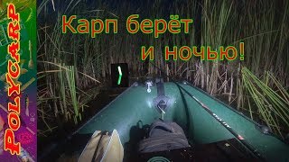 ЛОВЛЯ КАРПА НОЧЬЮ С ЛОДКИ В КАМЫШАХ НА МОРМЫШКУ