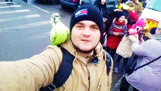 Самая крутая Ярмарка-выставка голубей в Украине г. Кременчуг 2019 | 1 ЧАСТЬ