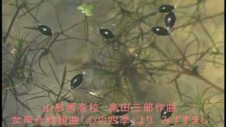 山形西高校　女声合唱組曲「心の四季」より　みずすまし・雪の日に