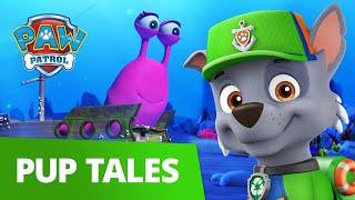 PAW Patrol | Pup Tales #5 | Rescue Episode
