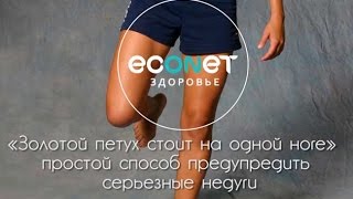 Упражнение " Золотой петух стоит на одной ноге" - ОМОЛОЖЕНИЕ организма! - econet ru