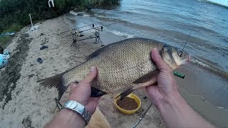 Сало vs опарыш. Рыбалка на Александровском водохранилище. Ловля леща на фидер и донки. Часть 1.