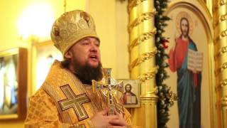 06-07.01.17 Рождественское богослужение в Спасо-Преображенском Кафедральном соборе г. Димитровграда