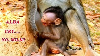 MILK...MILK... MUMMY!!! I'M SO HUNGRY MUMMY | MOM ANNA DENY MILK TO BABY ALBA