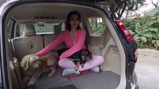Suzuki Ertiga 2019. Versátil, accesible y con espacio para 7.