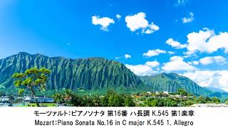 集中力が高まるクラシック名曲集・Classical Music Collection Raises Your Concentration（長時間作業用BGM)