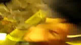 Gole trebe u autobusu