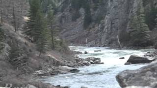 Bear Trap Canyon Madison River Montana Video