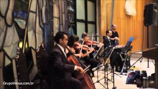 Can You Feel the Love Tonight - Tema Rei Leão - Violino - Música Entrada das Daminhas Casamento