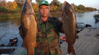 Самая лучшая рыбалка. Super Fishing