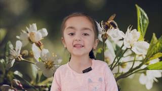 Arevik plays / Տարվա չորս եղանակները / Four Seasons of the Year