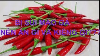 Nhà thuốc thanh xuân đường giải đáp câu hỏi  bệnh sùi mào gà nên ăn gì và kiêng ăn gì ?