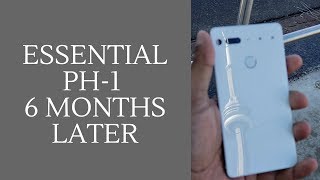 Essential Phone 6 Months Later