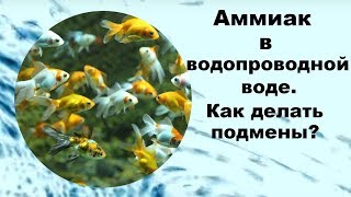 Аммиак в водопроводной воде. Как делать подмены?