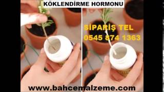sıvı köklendirme hormonu,sıvı ıba, köklendirme hormonu satış, köklendirici hormon,köklendirici hormo
