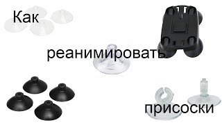Как реанимировать аквариумные присоски