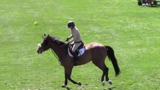 Video of LORDE ridden by ASHLEY MARSHALL from ShowNet!