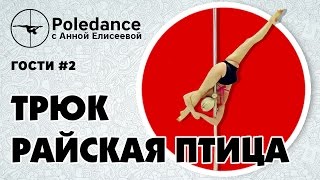 Pole dance с Анной Елисеевой ГОСТИ #2. Анна Андронова - трюк "Райская птица".
