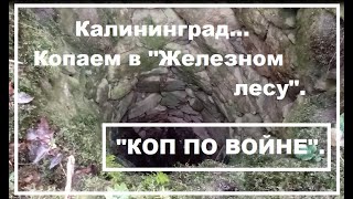 Коп по войне.Калининград."Железный лес".Заброшенный хутор.