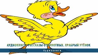 Аудиокниги. Рассказы о животных. Храбрый утёнок