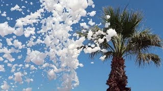 Пенная вечеринка на Eftalia Island. Отели  Eftalia Aqua и Eftalia Ocean. Отдых в Турции 2018!