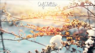 SizzleBird - illuminate "Album"