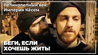 Халиме султан был пойман в порту! | Великолепный век. Империя Кёсем
