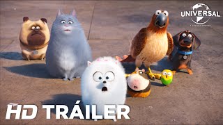 Mascotas: Tráiler 2 (Universal Pictures) [HD]