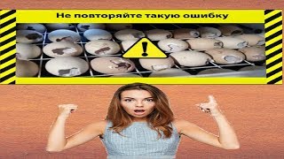 Ошибки инкубации куриных  яиц