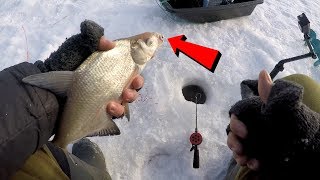 Ловля леща зимой на незнакомом водоеме | Зимняя рыбалка | Ice fishing